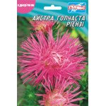 Астра Риензи /100 семян/ *Гелиос*