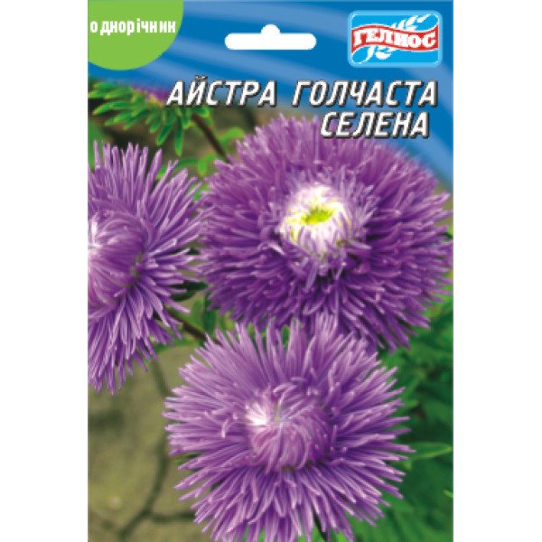 Насіння айстри Селена /100 насінин/ *Геліос*
