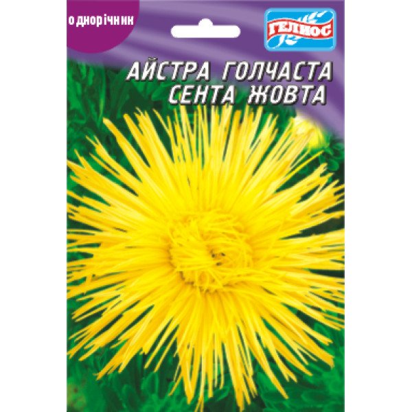 Насіння айстри Сента /100 насінин/ *Геліос*