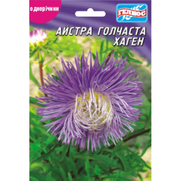 Насіння айстри Хаген /100 насінин/ *Геліос*