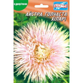 Астра Хиллари /100 семян/ *Гелиос*