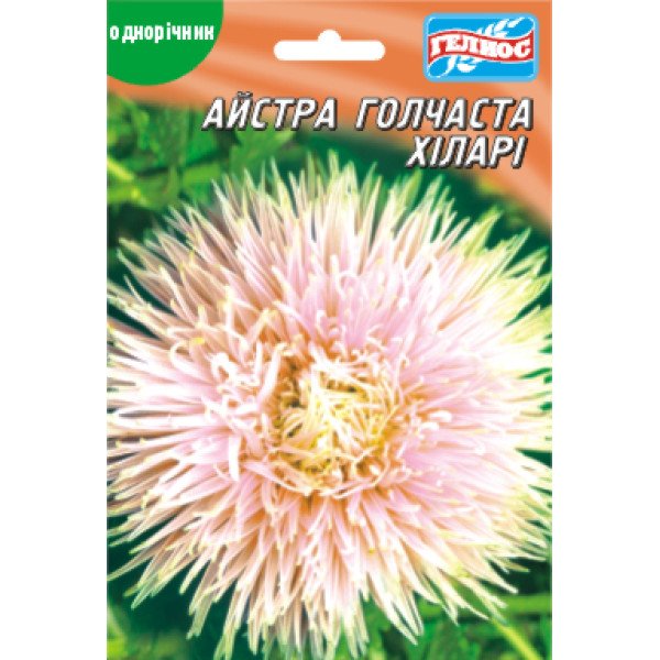 Семена астры Хилари /100 семян/ *Гелиос*