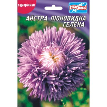 Астра Гелена /100 семян/ *Гелиос*