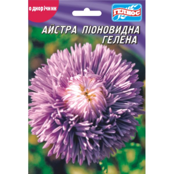 Насіння айстри Гелена /100 насінин/ *Геліос*