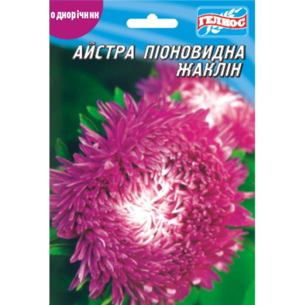 Насіння айстри Жаклін /100 насінин/ *Геліос*