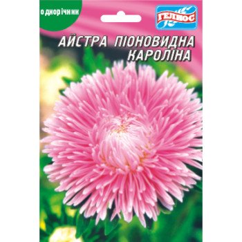 Астра Каролина /100 семян/ *Гелиос*