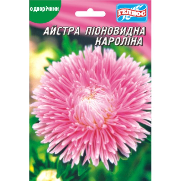 Насіння айстри Кароліна /100 насінин/ *Геліос*