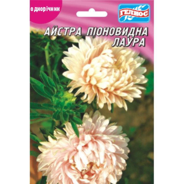 Насіння айстри Лаура /100 насінин/ *Геліос*