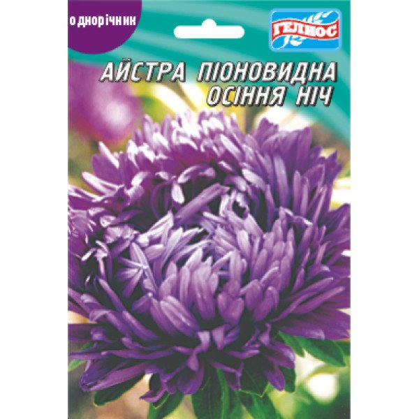 Насіння айстри Осіння ніч /100 насінин/ *Геліос*