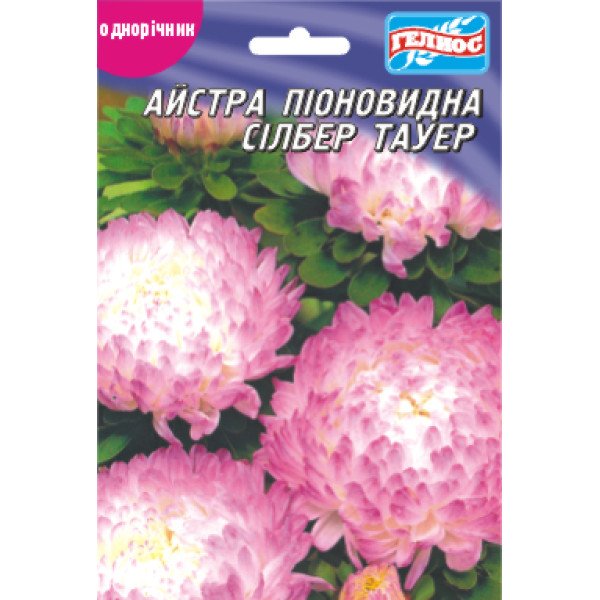 Насіння айстри Сілбер Тауер /70 насінин/ *Геліос*