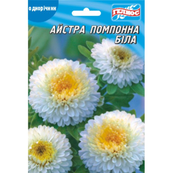 Насіння айстри Помпонна біла /100 насінин/ *Геліос*
