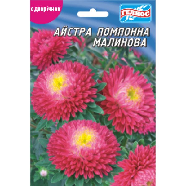 Насіння айстри Помпонне малинове /100 насінин/ *Геліос*