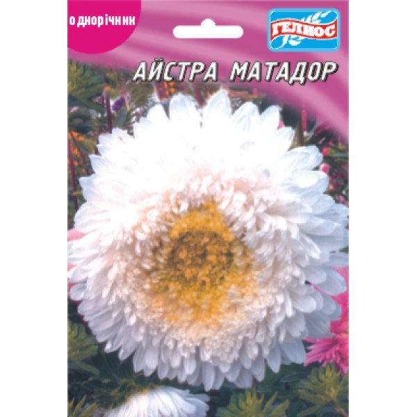 Насіння айстри Матадор /100 насінин/ *Геліос*