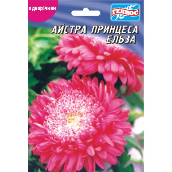 Насіння айстри Ельза /100 насінин/ *Геліос*