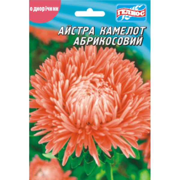 Насіння айстри Камелот абрикосовий /100 насінин/ *Геліос*