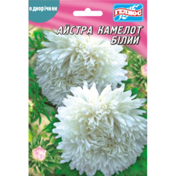 Насіння айстри Камелот білий /100 насінин/ *Геліос*