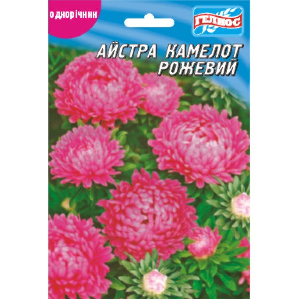 Насіння айстри Камелот рожевий /100 насінин/ *Геліос*
