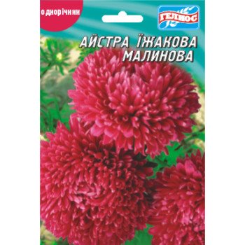 Астра Ежиковидная малиновая /100 семян/ *Гелиос*
