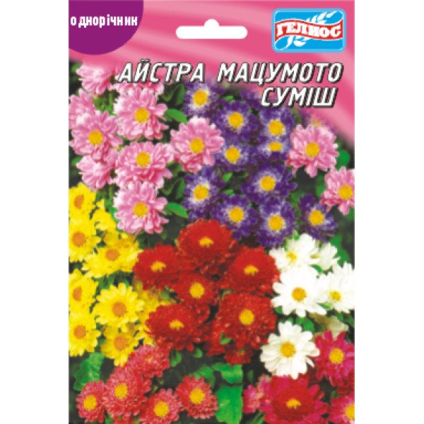 Насіння айстри Мацумото суміш /70 насінин/ *Геліос*