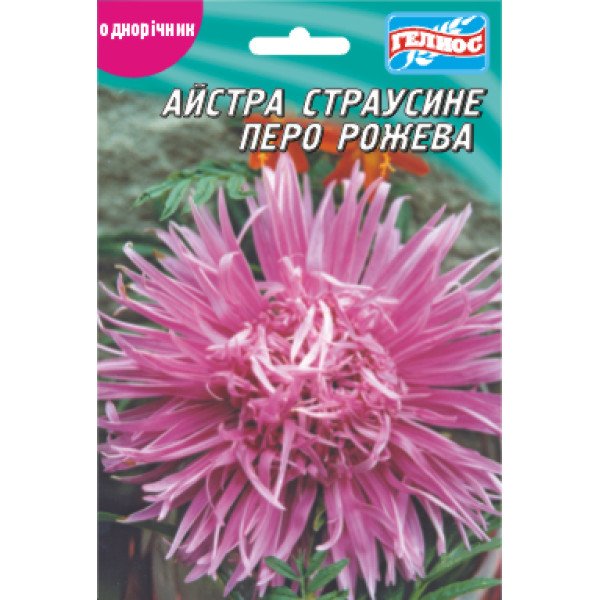 Насіння айстри Страусине перо рожеве /70 насінин/ *Геліос*