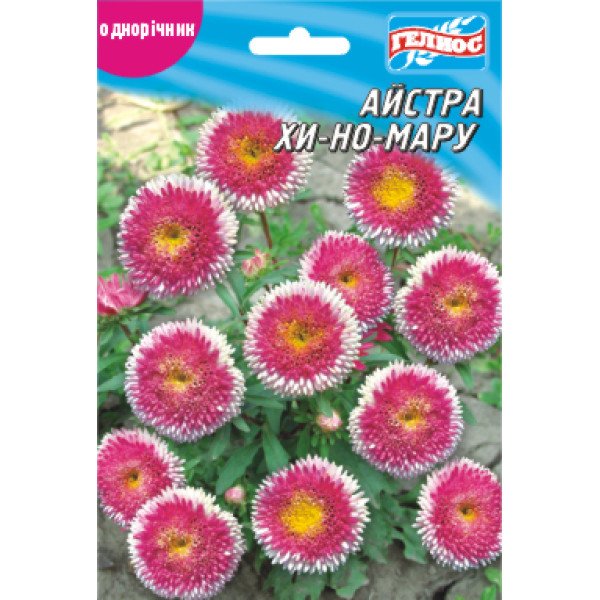 Насіння айстри Хі-но-мару помпон /100 насінин/ *Геліос*
