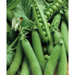 Горох Преладо /30 г/ *Гелиос*