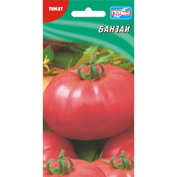 Семена томата Банзай /25 семян/ *Гелиос*