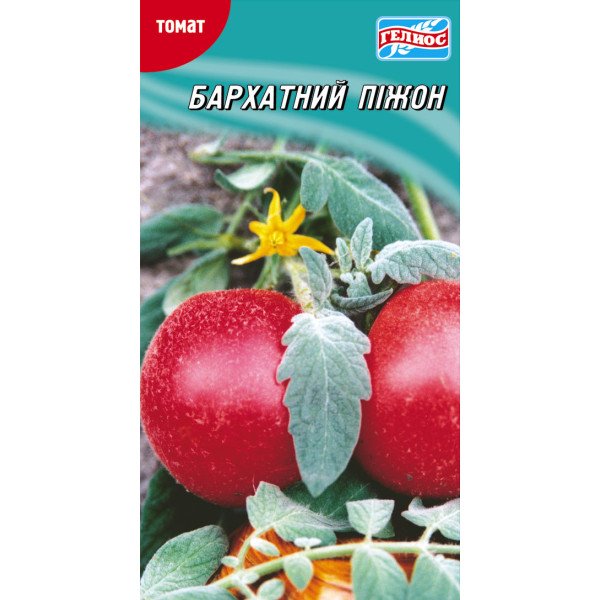 Насіння томату Бархатний піжон /25 насінин/ *Геліос*
