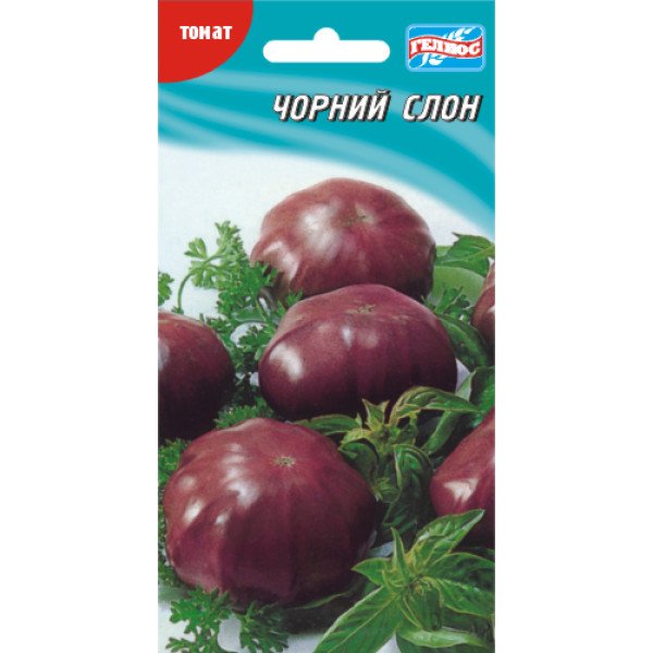 Семена томата Черный слон /20 семян/ *Гелиос*