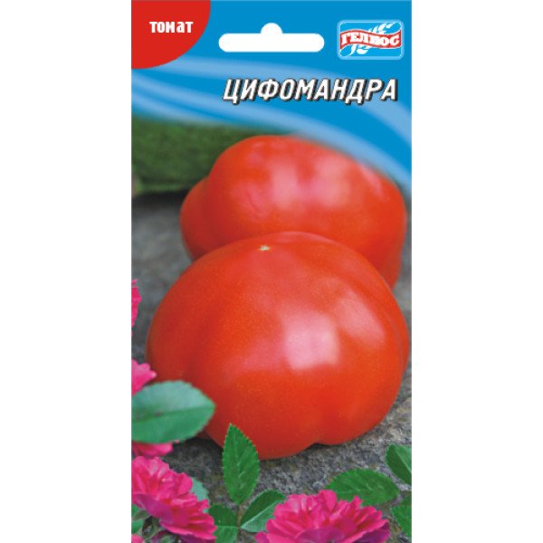 Насіння томату Цифомандра /25 насінин/ *Геліос*