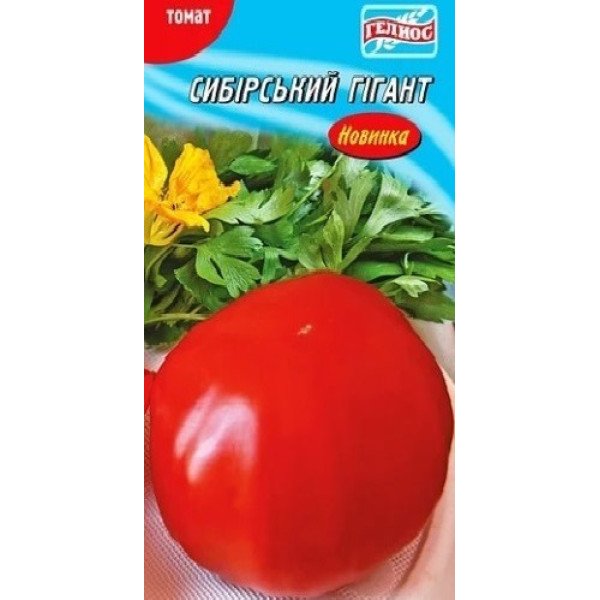 Насіння томату Сибірський гігант /25 насінин/ *Геліос*