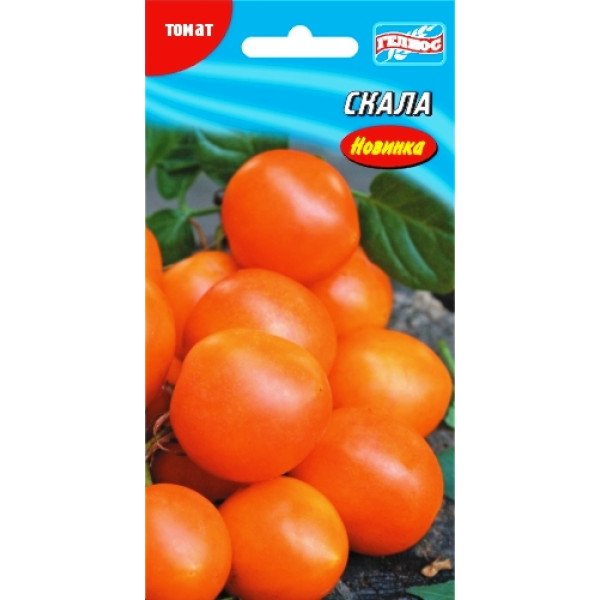 Семена томата Скала /25 семян/ *Гелиос*