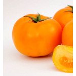 Томат Микадо желтый /25 семян/ *Гелиос*