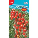 Томат Томатоберрі /25 насінин/ *Геліос*