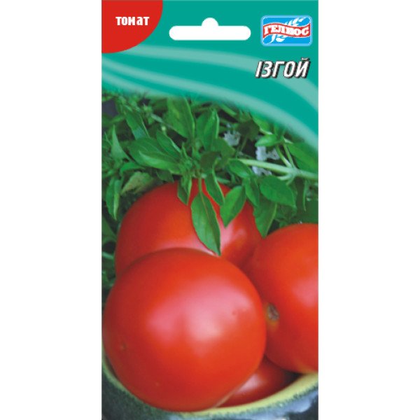 Томат Ізгой /25 насінин/ *Геліос*