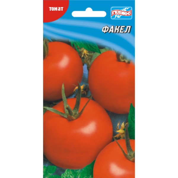 Семена томата Факел /100 семян/ *Гелиос*