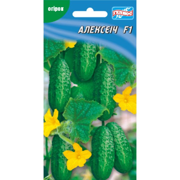Огурец Алексеич F1 /10 семян/ *Гелиос*
