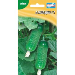 Огірок Алладін F1 /20 насінин/ *Геліос*