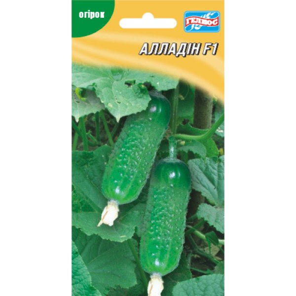 Огурец Алладин F1 /20 семян/ *Гелиос*