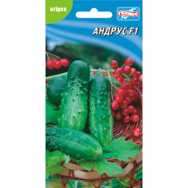 Огурец Андрус F1 /20 семян/ *Гелиос*