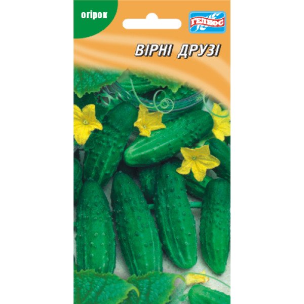Семена огурца Верные друзья F1 /10 семян/ *Гелиос*