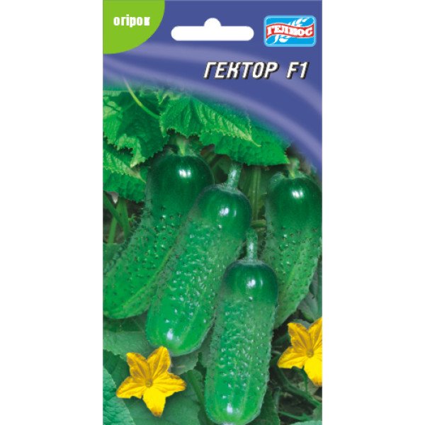 Насіння огірка Гектор F1/10 насінин/ *Геліос*