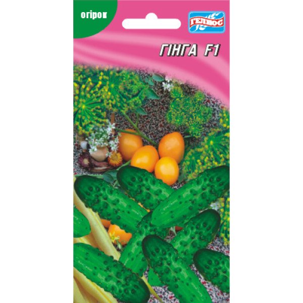 Огурец Гинга F1 /10 семян/ *Гелиос*
