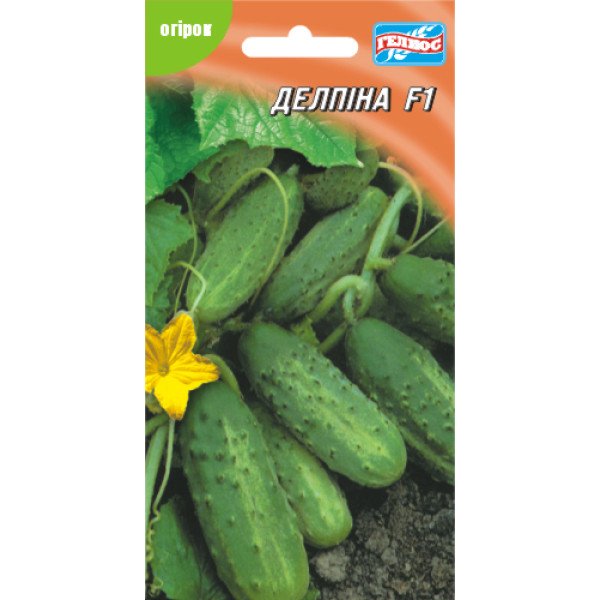 Насіння огірка Делпіна F1 /10 насінин/ *Геліос*
