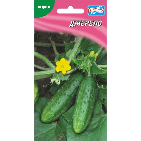 Огірок Джерело /40 насінин/ *Геліос*