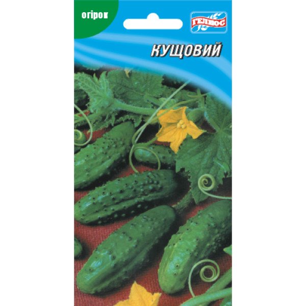 Семена огурца Кустовой /40 семян/ *Гелиос*