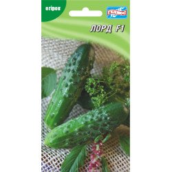 Огурец Лорд F1 /10 семян/ *Гелиос*