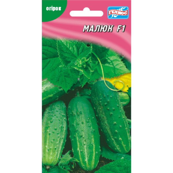 Огурец Малыш F1 /20 семян/ *Гелиос*