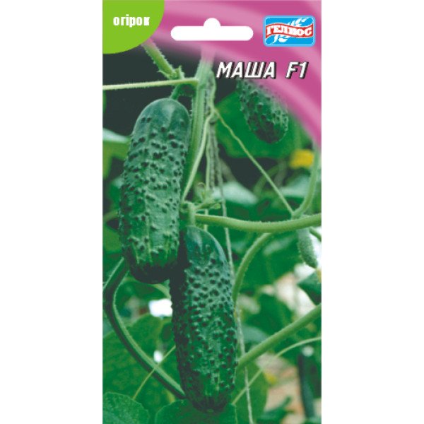 Огірок Маша F1 /10 насінин/ *Геліос*