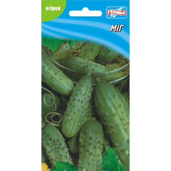 Огірок Міг /40 насінин/ *Геліос*